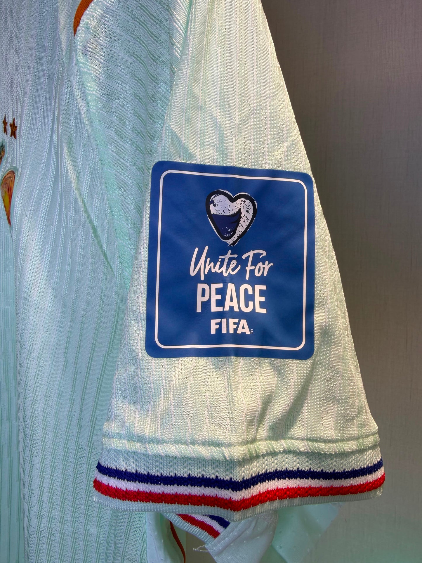 Camiseta Nike Francia Alternativa 26/27 (Encargue)