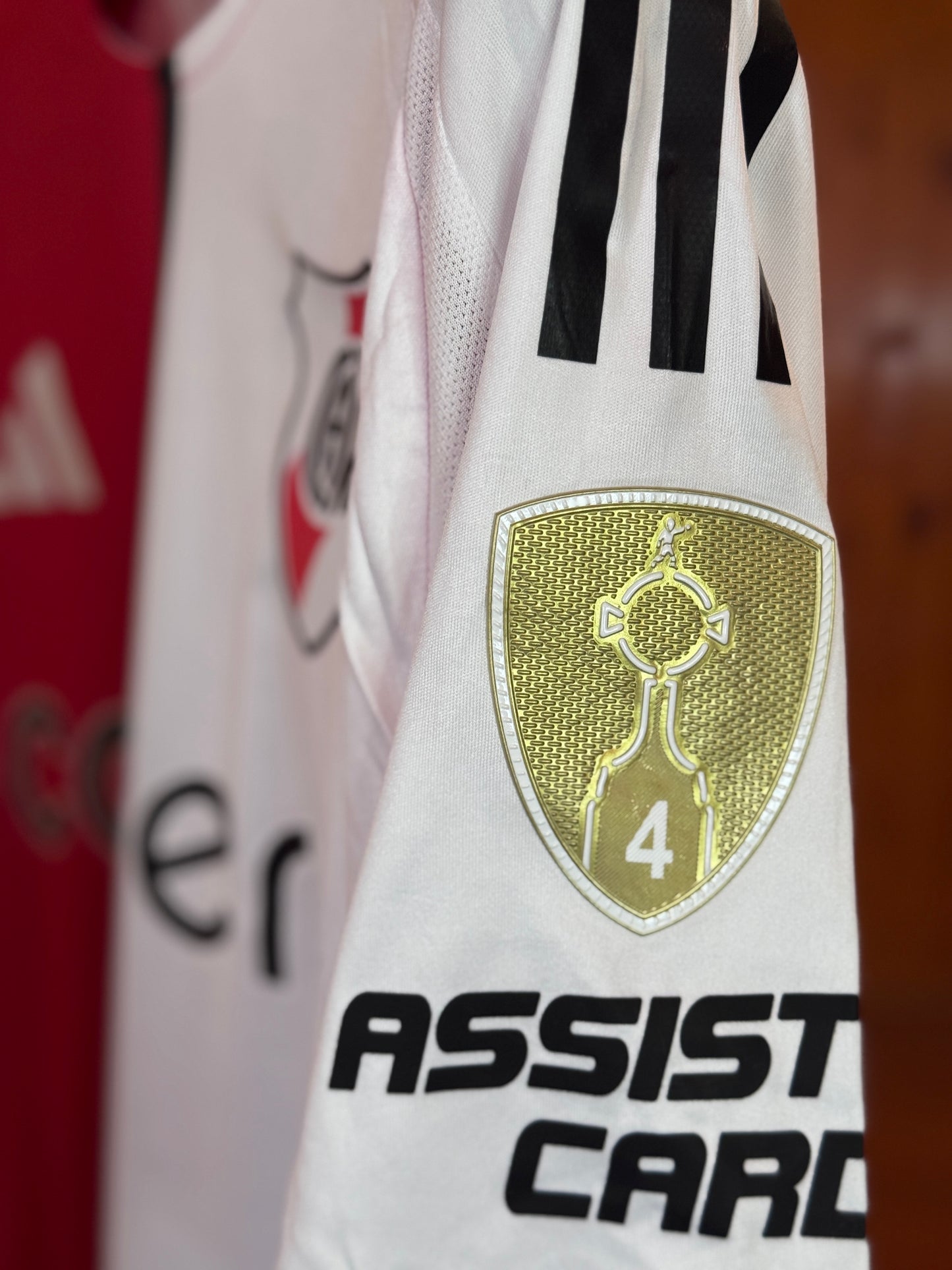 Camiseta Adidas River Alternativa 2024/25 (Encargue)